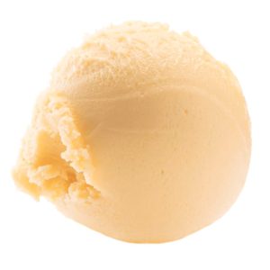 Sorbet mango 4,6l