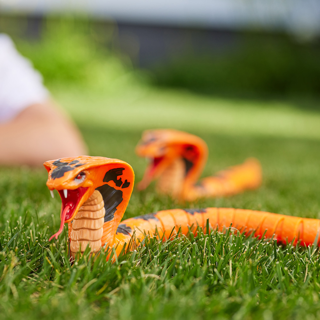 Robo alive cobra s1 - Bilde 7