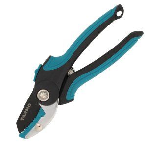 Tarmo rose saks 18 cm