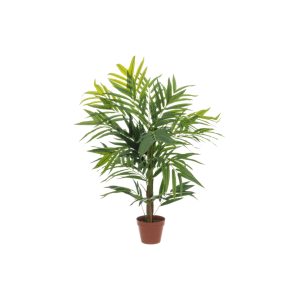 4living kentia palme 107 cm