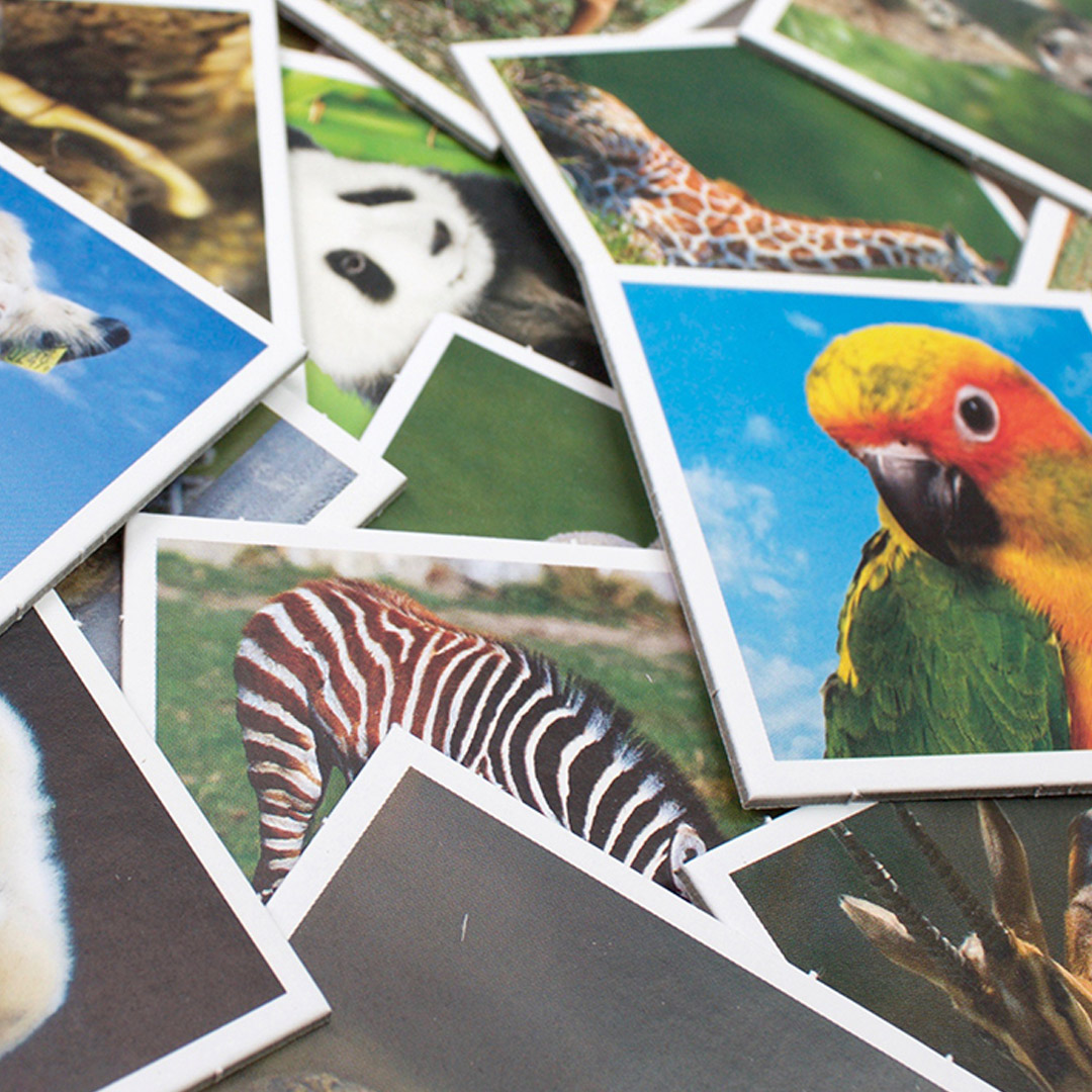 Memo små dyr - Bilde 3