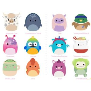 Squishmallows 19 cm p17 fsdu asst