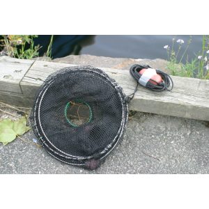 Teine, sammenleggbar for fisk og krabber