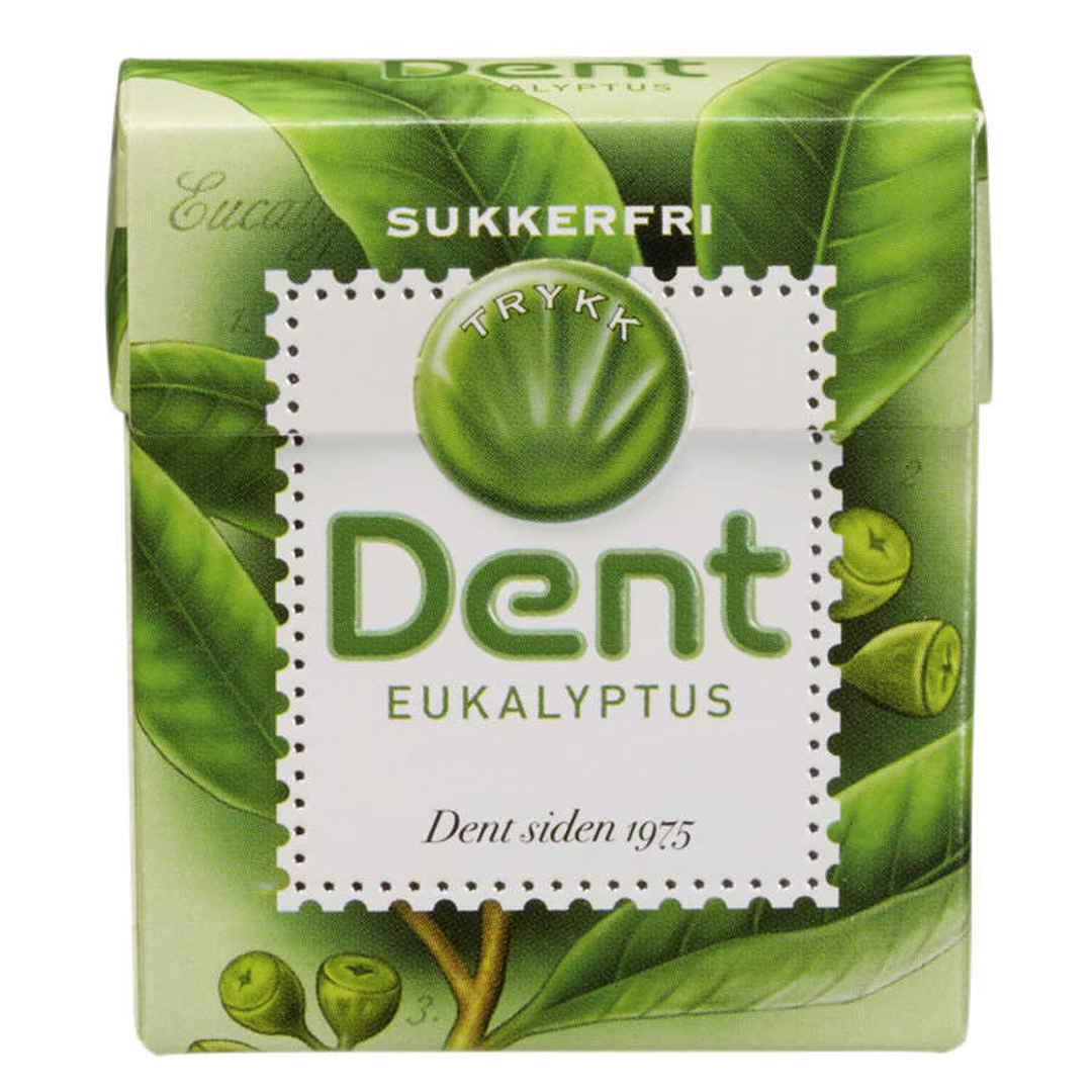 Dent eukalyptus 24 gram