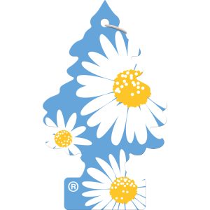 Wunderbaum daisy flower