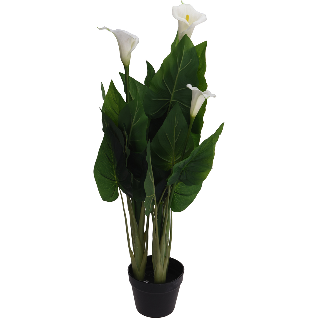 Plante i potte 100cm