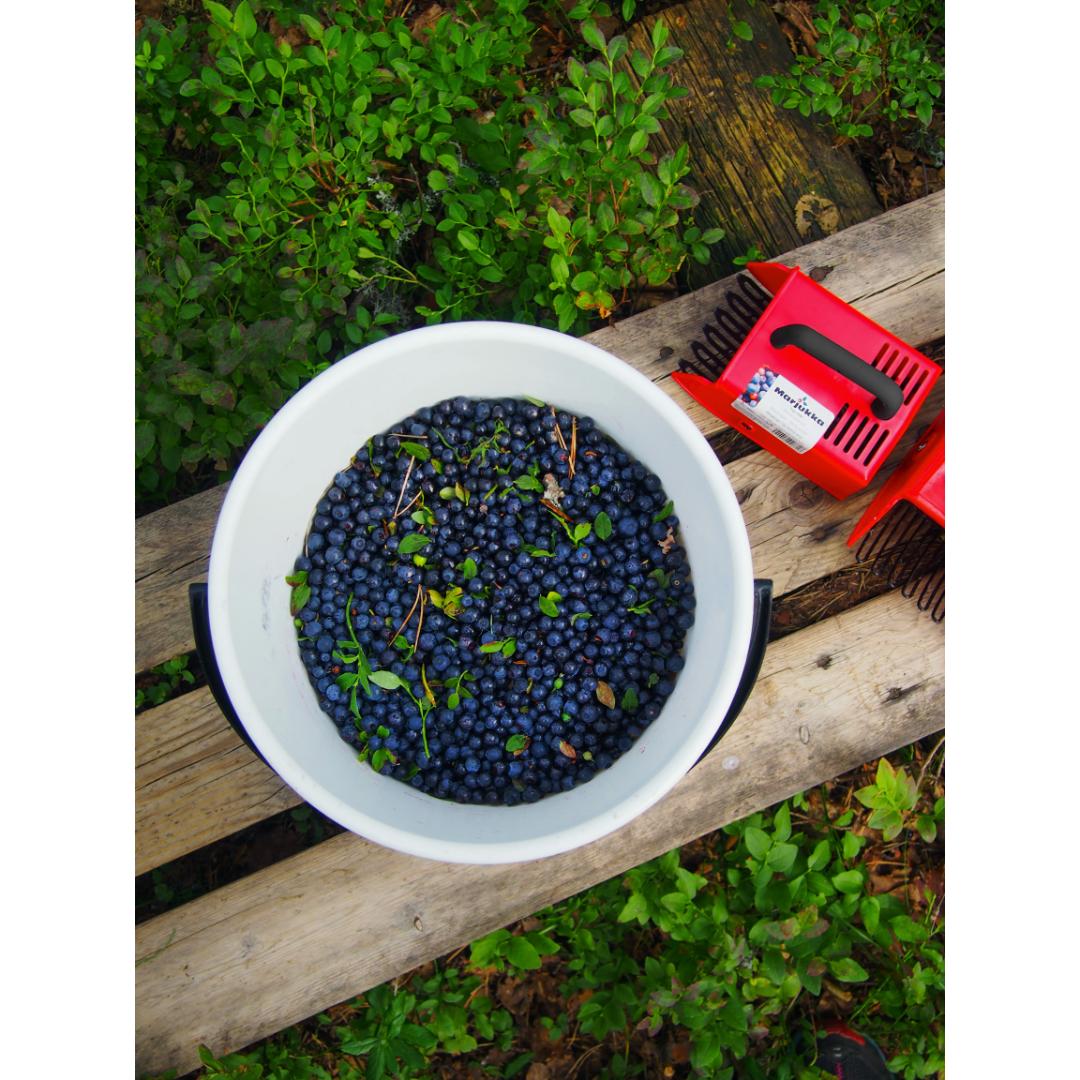 Marjukka bærplukker ergonomic for barn - Bilde 6