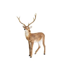 Winteria hjort med bevegelse 143 cm
