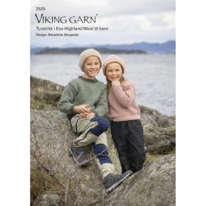 Viking design 2525