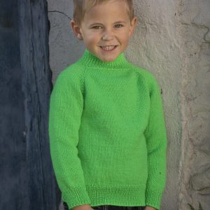 Jupiter genser 2232-05a