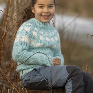 Cumulon -genser 2405-02a