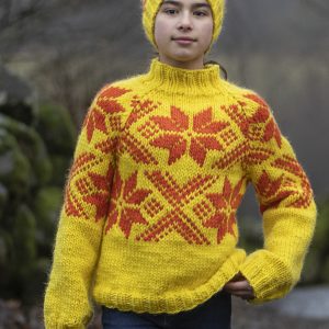 Snoi -genser 2411-02a